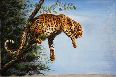 unknow artist Leopard 027 oil painting picture